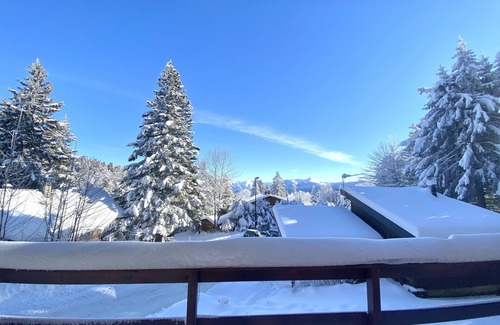 Aix-les-Bains Ski Chalet | CHALET AMID SNOW-COVERED FIR TREES