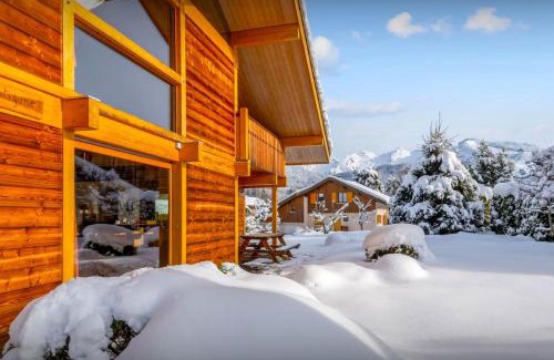 Saint-Jean-de-Sixt Ski Chalet | Chalet Antigone - OVO Network