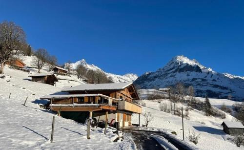 Grindelwald Apartment | Chalet Bachsbort 14