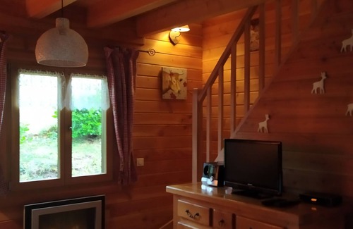 Mont-Dore Ski Chalet | CHALET BOIS + SPA "Les Ecureuils" N ° 3 (4 stars) MONT DORE / MOUNTAIN VIEW
