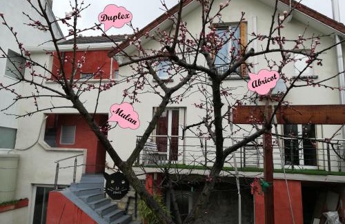 Parapluies Bed & Breakfast | Chalet de Paris