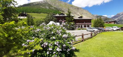 Livigno Apartment | Chalet Del Sole per gruppi
