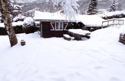 Mont-Dore Ski Chalet | Chalet des cascades
