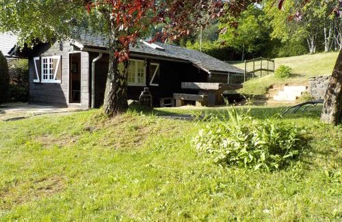 Mont-Dore Ski Chalet | Chalet des cascades