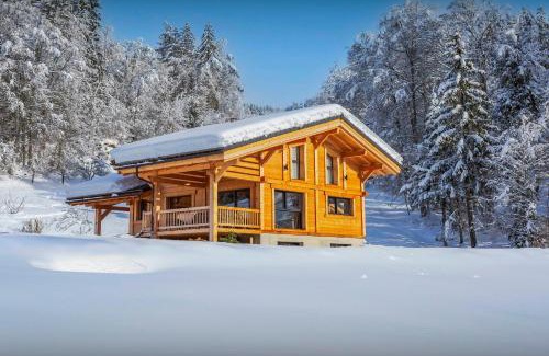 Saint-Jean-de-Sixt Ski Chalet | Chalet Elomaz - OVO Network