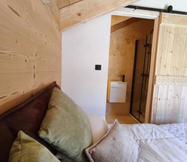 Saint-Jean-de-Sixt Ski Chalet | Chalet, exceptional view, high standing - Forest