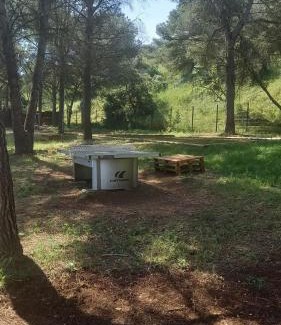 Agde Ski Chalet | Chalet familial entre les pins