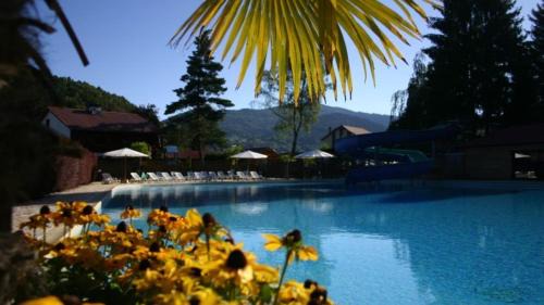 Saint-Maurice-sur-Moselle Other | Chalet 9 personnes, piscine, terrasse