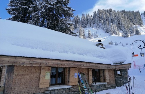 Station de Drouzin le Mont Ski Chalet | Chalet, ideal for families during the Winter or Summer