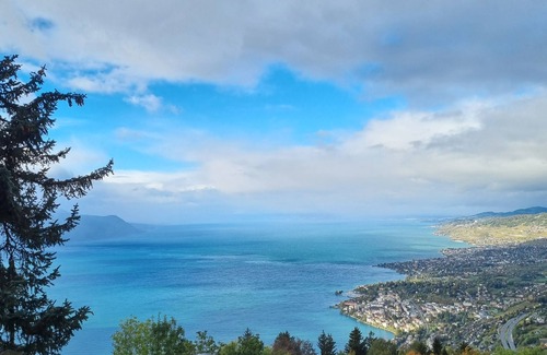 Glion House | Chalet in Montreux mit Gartenhaus, Jacuzzi, Sauna und Einmaliger Aussicht!