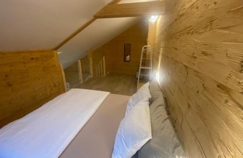 Rochesson Ski Chalet | Chalet iris & spa privatif
