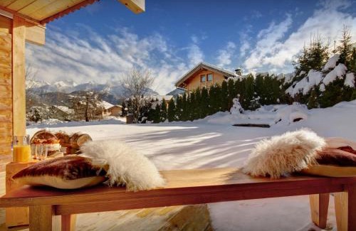 Saint-Jean-de-Sixt Ski Chalet | Chalet J'Elage - OVO Network