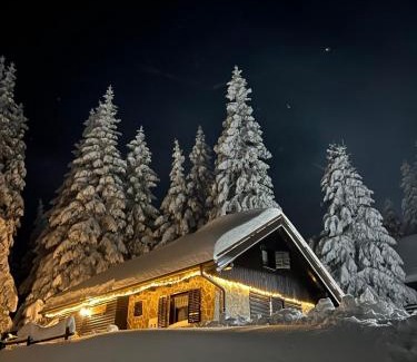 Zrece House | Chalet Klara