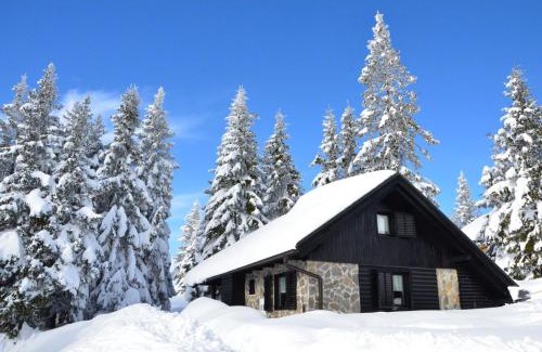 Zrece House | Chalet Klara