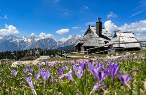 Kamnik Ski Chalet | Chalet Kočna - I FEEL ALPS