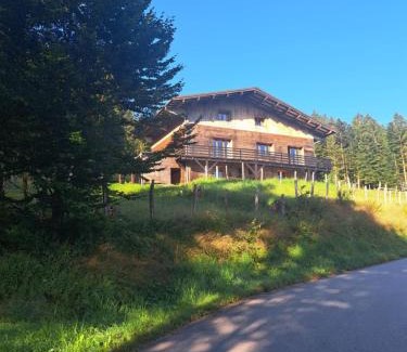 Ventron Ski Chalet | Chalet Le Belvédère, vue exceptionnelle dans les Hautes Vosges