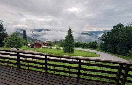 Ventron Ski Chalet | Chalet Le Belvédère, vue exceptionnelle dans les Hautes Vosges