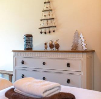 Saint-Jean-de-Sixt Ski Chalet | Chalet Le Domen 10 personnes avec vue