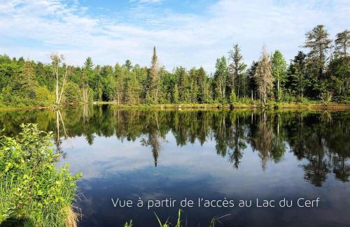 Saint Come Ski Chalet | Chalet le Sherpa -SPA & Billard et accès au lac