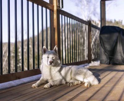 Saint Come Ski Chalet | Chalet le Sherpa -SPA & Billard et accès au lac