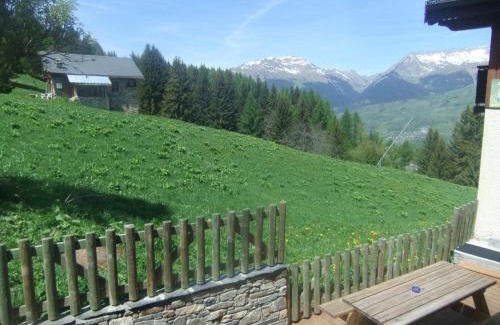 La Plagne-Tarentaise Ski Chalet | Chalet les Gentianes