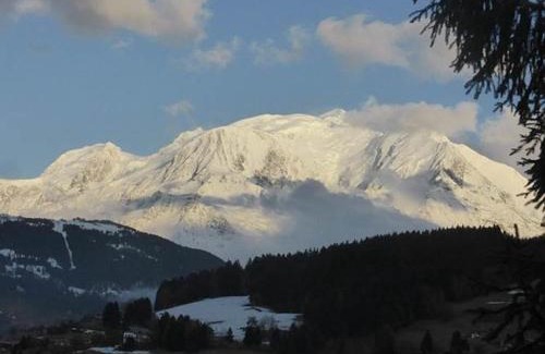 Combloux Ski Chalet | Chalet Mireneige, charme et confort face au Mont Blanc