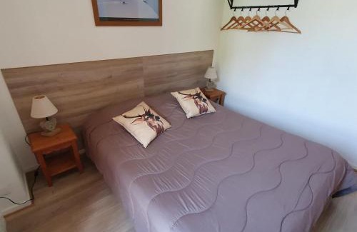 La Joue du Loup Ski Chalet | Chalet Mitoyen 3 Pièces, 7 Pers, Terrasse, Parking Gratuit, Animaux Acceptés - FR-1-504-63