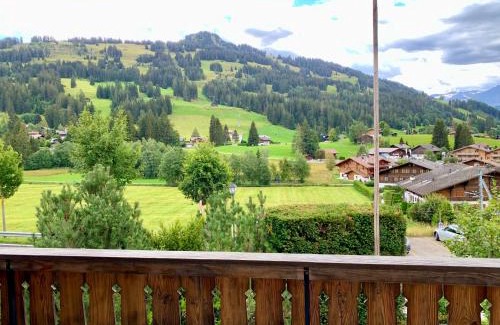 Schoenried Apartment | Chalet Mutzli