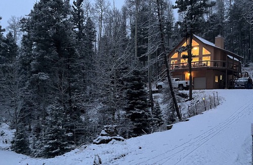 Angel Fire Ski Chalet | Chalet Nestled on 2 Mountainside acres! 4 Bedrooms/3 baths & Pet Friendly!