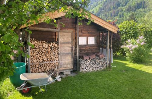 Zell am See Ski Chalet | Chalet Panoramablick Zell am See
