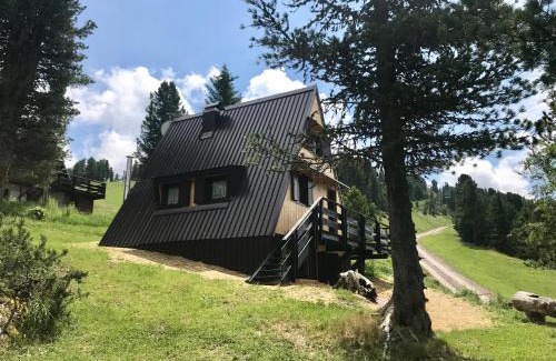 Tesero Ski Chalet | Chalet Paoletta - Alpe Cermis