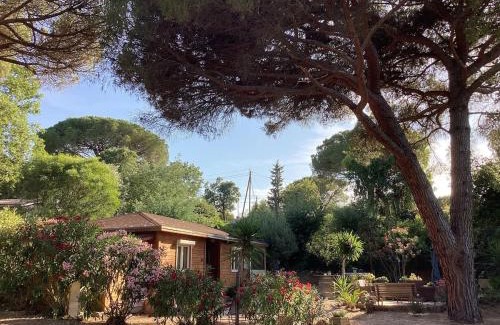 Gassin Ski Chalet | Chalet plein de charme au calme près de st tropez