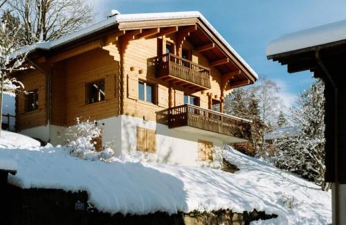 La Clusaz Ski Chalet | Chalet rénové 2020 pour 8 pers., proche pistes et village, garage, WIFI – La Clusaz - FR-1-304-262