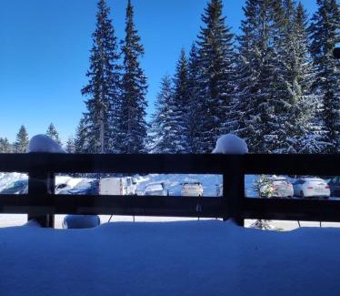 Jahorina Ski Chalet | Chalet Sedmica