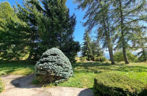 Saint-Michel-de-Chaillol Ski Chalet | Chalet spacieux 10 pers, 4 chambres, jardin, cheminée, animaux OK, ménage fin séjour option - FR-1-393-38