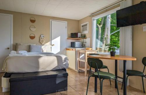 Cap-Saint-Ignace Ski Chalet | Chalet Studio #12 Wifi, AC & BBQ