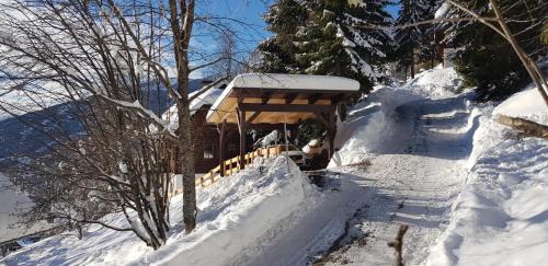 Bad Kleinkirchheim Ski Chalet | Chalet Talblick
