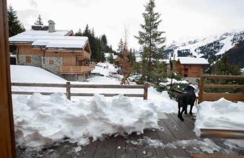 Meribel Ski Chalet | Chalet typique ski-in/ski-out, cheminée et terrasse, parking, Wi-Fi inclus à Méribel - FR-1-688-15