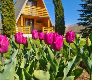 Gospic Ski Chalet | Chalet Velebitska Kuća
