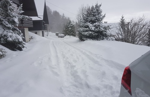 Thollon-les-Memises Ski Chalet | Chalet with fabulous view of Lake Geneva close to Piste and Telecabin