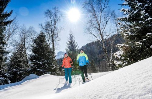 Eben am Achensee Ski Chalet | Chalets Grossmitt