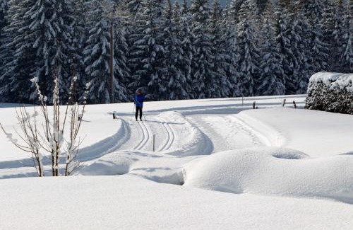 Eben am Achensee Ski Chalet | Chalets Grossmitt