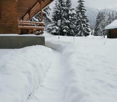 Poiana Brasov Cabin | Challet Montan