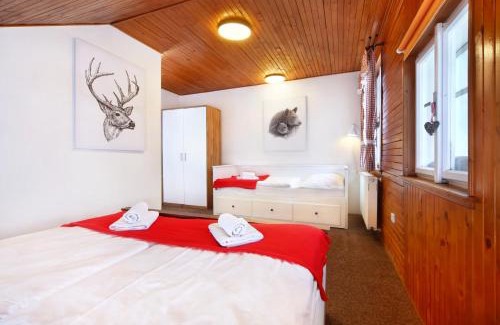 Harrachov Ski Chalet | Chalupa EDEN Harrachov