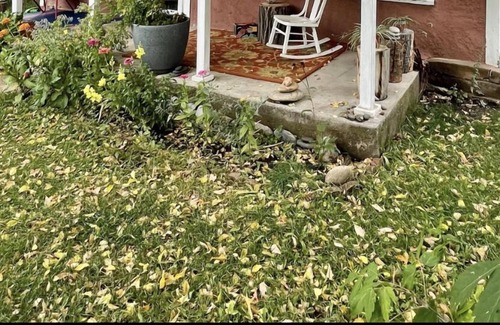 Chama House | Chama Casita