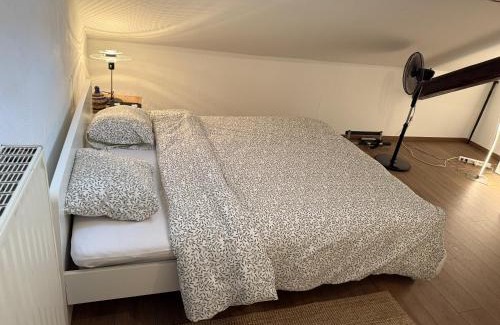 Longwy House | Chambre chez l'habitant 3 - Longwy bas