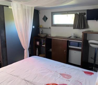 Portiragnes Bed & Breakfast | Chambre d'hôte insolite sur une péniche
