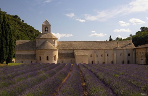 Cereste Bed & Breakfast | Chambre Dans le Luberon