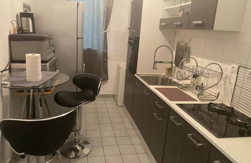 Bois Cadet-Montesquieu Apartment | Chambre Dans un bel Appartement à Nogent sur Marne Avec Terrasse