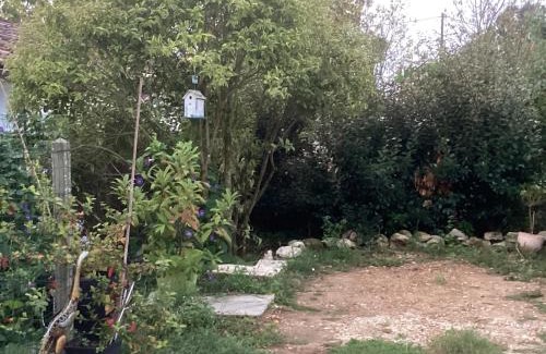 Illats Bed & Breakfast | Chambre des tourterelles
